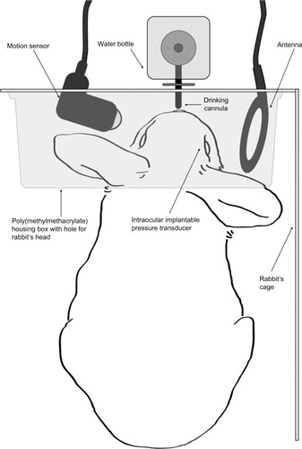 Figure 1 Schematic diagram of the wireless IOP acquisition technique.