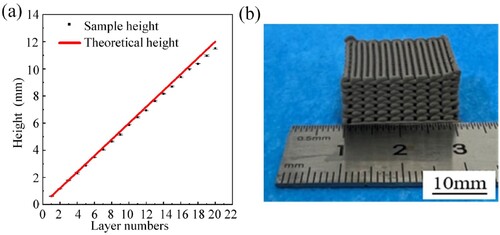 Figure 8. (a) Shape retention of the printed structure as a function of layer number. (b) Photograph of the printed porous Ti/β-TCP composite scaffold.