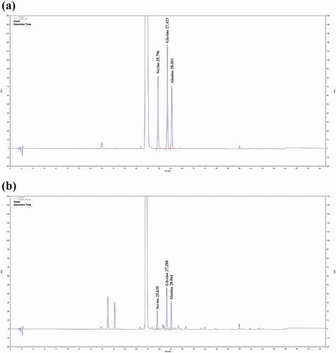 Figure 2. HPLC chromatograms of serine, glycine, and alanine. (a) Chromatogram of the amino acids in the standard mixture, (b) Chromatogram of the amino acids in processed mature silkworm powder.