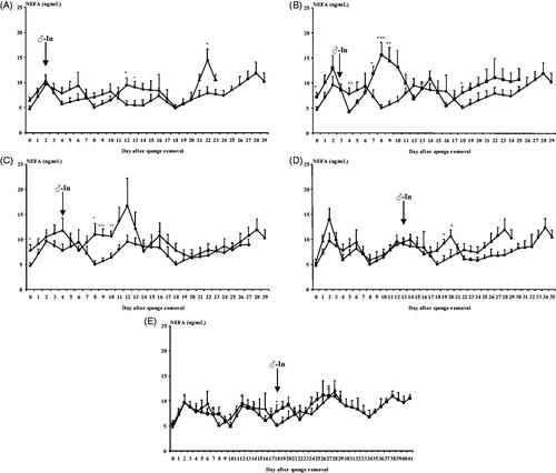 Figure 3. Evolution of Non-esterified fatty acids (NEFAs)  concentrations (mg/dL) in females synchronised using intravaginal progestagen sponges without any contact with males (Control Group, ◆), and females synchronised using the same treatment and submitted to the "male effect" during the breeding season at 48H (very early follicular phase, △; (A)), 72H (early follicular phase, □; (B)), 4 D (early luteal phase, ⋄; (C)), 13 D (luteal phase, ▲; (D)), and 18 D (late luteal phase, ■; (E)) after sponge removal. The arrow indicates the moment of the introduction of males to the groups. *p<.05; **p<.01; ***p<.001.