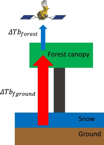 Figure 3. Schematic illustration of the influence of forest biomass on the observation of ground ΔTb.