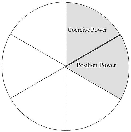 Figure 6. Power Profile of a Coercive Leadership Style (adapted from Krausz, Citation1986, p. 89).