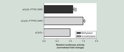 Figure 4. Effect of DNA methylation on PTPRD transcriptional activity.The 590Â bp sequence corresponding to the intronic PTPRD-associated DMR chr9:10448607-10450000, was cloned into a pCpGL-promoter vector (pCpGL-PTPRD DMR), upstream the luciferase gene. The construct was either methylated by M.SssI (methylated pCpGL-PTPRD DMR) or mock-treated (unmethylated pCpGL-PTPRD DMR) and then transfected in ChubS7 cells. The data were normalized using a co-transfected renilla luciferase vector and are presented as fold change relative to the mock-treated empty vector (pCpGL). Data are shown as meansÂ Â±Â SD of nÂ = threeÂ independent experiments. Statistical significance was tested by one-way ANOVA followed by Tukey’s multi-comparison test: ***p<0.001 for comparison versus pCpGL; Â§Â§Â§p<0.001 for comparison versus unmethylated pCpGL-PTPRD DMR.ANOVA: Analysis of variance;Â DMR: Differentially methylated region; SD: Standard deviation.