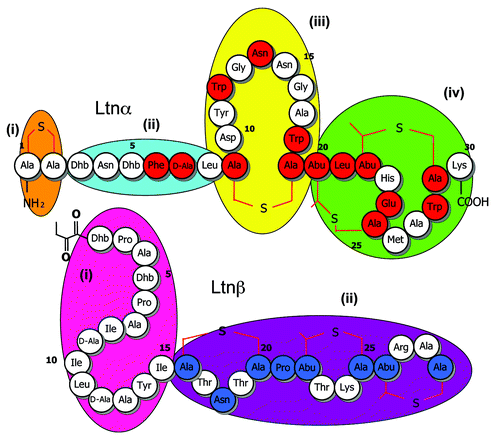 Figure 1. Insights revealed from alanine scanning mutagenesis of the lacticin 3147 peptides and subsequent bioactivity based analyses. Residues that are apparently intolerant of change, on the basis of the elimination of bioactivity following alanine conversion, are depicted in red and blue in Ltnα and Ltnβ, respectively. Apparently distinct functional domains in Ltnα (i-iv) and Ltnβ (i and ii) are grouped according to oval shapes of different color.