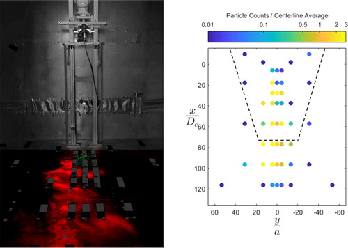 Figure 5. Comparison of (a) false color image of 22–27 μm (red) and 180–212 μm (green) particle deposition with (b) measured 22–27 μm particle deposition during a single experiment with image view indicated by dashed line.