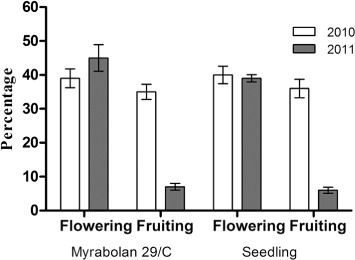 Figure 3 ‘Pisana’ apricot cultivar grafted on to two rootstocks (‘Myrabolan 29/C’ and apricot ‘Seedling’). Percentage of flowering and fruiting recorded over two growing seasons (2010–11).