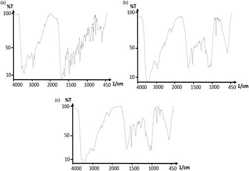 Figure 5. FTIR spectra of folic acid (a); FTIR spectra of curcumin-dendrimer nanocomplex (b); FTIR spectra of folic acid-curcumin-dendrimer nanocomplex (c).