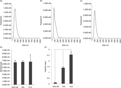 Fig. 1.  Nanoparticle tracking analysis (NTA) size distributions of vesicles harvested from (a) FL3, (b) HCV-29 and (c) T24 cells. (d) Vesicle number harvested assessed by NTA normalized to cell number; vesicles produced per cell were not significantly different among any cell line, determined by Student's paired t-tests. (e) Resistance to anoikis assay assessing malignant capability of HCV-29, FL3 and T24 cells. p-values between pairs of groups were determined by Student's paired t-tests, *p<0.05; N.S., not significant.