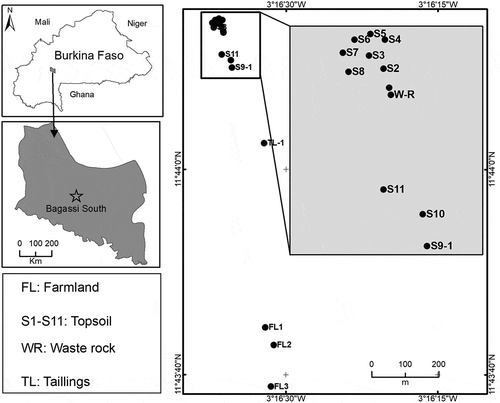 Figure 2. Location of the Bagassi South artisanal gold mining site displaying the sampling points.