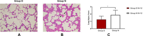 Figure 3 DEX treatment ameliorated pathological changes in lung tissue.