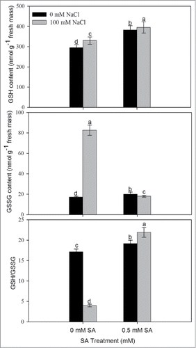 Figure 5. Content of GSH, GSSG, and ratio of GSH/GSSG in leaves of mustard (Brassica juncea L.) cv. Pusa Jai Kisan grown with 100 mM NaCl and treated with foliar 0.5 mM SA at 30 DAS. Data are presented as treatments mean ± SE (n = 4). Data followed by same letter are not significantly different by LSD test at P < 0.05. GSH; reduced glutathione, GSSG; oxidized glutathione.