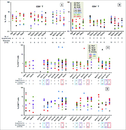 Figure 6. Stimulation of cytotoxins by CTL epitopes on Fp9, Fp14, and Hp15 peptide pools, and their individual peptides. The ICS analyses for perforin (Perf, ○), granzyme A (GrzA, □), and granzyme B (GrzB, Δ) are shown for CD8+ T cells (A, D) and CD4+ T cells (B, C) from 5 HIV+ responders with or without ART. Two LTS/ART−, one LTS/ART+, one ST/ART+, and one ST/ART− were first evaluated (A, B). Peptides tested included Fp9, Fp14, and/or Hp15 peptide pools or large 13–15mer peptides (A, B). Responses from 5 HIV+ responders of short-term HIV-infected subjects not on ART (ST/ART−) were tested using small 9–13mer peptides within Fp9–3, Fp14–1, Fp14–3, Fp14–4, and Sp14–1 (C, D). Note that Sp14 pool is a single 13mer peptide Sp14–1. Counterpart peptides are shown with blue-dashed box for Fp14–1a/Hp15–1c/Sp14–1c, purple-dashed box for Fp14–1b/Hp15–1a/Sp14–1b, and red-dashed box for Fp14–3/4f/Hp15–2/3a/Sp14–1a. The peptides tested with one less subject are denoted by (**), while their number of subjects and number of responses are denoted by (*). Each separate symbol color represents one subject, and each color-coded subject is shown with his/her infection status. The threshold for T cells expressing cytotoxin is set at >0.1% CD4+ or CD8+ T cells.