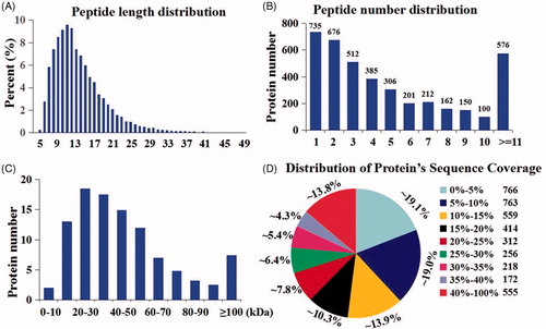 Figure 2. Distribution of peptide length (A), number of peptides that are matched to proteins using MASCOT (B), protein mass distribution (C), and distribution of protein sequence coverage (D) identified by iTRAQ proteomics.