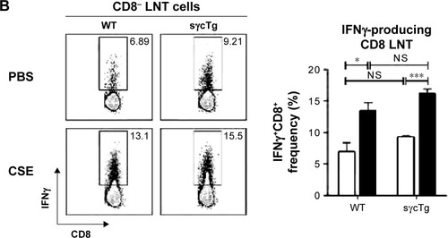Figure 3 Cytokine profiles in COPD-induced WT and sγcTg LNT cells.
