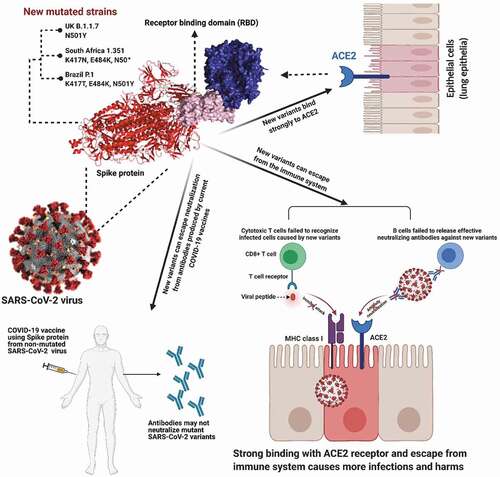 Figure 1. Emerging new strains and their possible mechanism of action