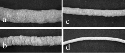 Figure 1 Pictures of (a) control extrudate, extrudates containing wheat fiber at (b) 18%, (c) 36%, and (d) 48%.