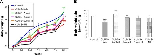Figure 2 Changes in body weight in mice over the course of 6 weeks. (A) The changing trend of body weight during 6 weeks of treatment (mean ± SEM, n=10) compared to the control group, #P<0.05, ##P<0.01, ###P<0.001; compared to the CUMS+Veh group, *P<0.05, **P<0.01, ***P<0.001. (B) Body weight gain (Δweight) of mice after 6 weeks treatment (mean ± SEM, n=10). CUMS+Veh vs control, ###P>0.001; compared to the CUMS+Veh group, *P<0.05, **P<0.01, and ***P<0.001.