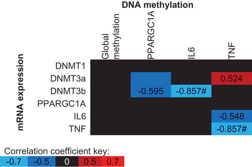 Figure 5. Spearman’s Rho correlation coefficients between mean DNA methylation values and gene expression values across all conditions (supplement, time and trial). The mean of all CpG sites assessed for each gene has been used to provide an overall view of the region of interest. Blue indicates a negative correlation, red indicates a positive correlation and black indicates correlation coefficients between −0.5 and 0.5. * p < 0.05, # p < 0.01.