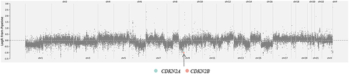 Figure 3 Copy number analysis of all genes showing the CDKN2A/B loss. The horizontal axis represents the location of the gene on the chromosome, and the vertical axis represents the copy number calculated by the NGS method.