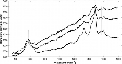 Figure 4. Untreated Raman spectra of iron-tannin precipitates identified in different structures in The Sword: filled vessel (top), ray (middle), and cell wall (bottom) in cross section. Signature bands (580, 1328, 1482, and 1573 cm−1) are marked. See micrographs (Supplementary Figures 2–4) showing site of analysis. The top and bottom spectra represent extremes, whereas the middle was most commonly acquired. All spectra exhibit photoluminescence, likely from lignin and degraded wood material.