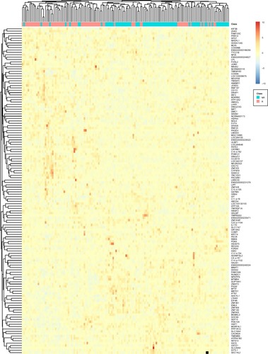 Figure 3 The heatmap of the 138 genes in the responder and non-responder colorectal cancer patients.