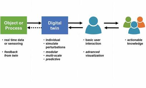 Figure 1. The digital twin is a representation of an actual object or process, monitored in real time, with the flow of information or data from the actual object or process to its twin. The twin itself represents a single instance of this object or process and can simulate its time evolution under normal or perturbed conditions. It offers facilities for basic user interaction and in this manner provides actionable knowledge, the added value of the twin. We consider these properties as essential to distinguish digital twins from other digital representations. The dotted arrow illustrates an optional feedback loop.