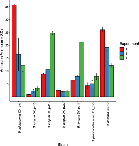 Figure 2. Adhesion of Bifidobacterium spp. strains to intestinal mucus.