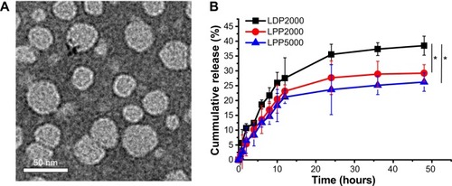 Figure 1 (A) Representative images of LPPs visualized by TEM. (B) Cumulative release of PTX from PEGylated nanoparticles in water containing 0.1% Tween 80 at 37°C.Note: The error bars represent the SD (n=3).Abbreviations: PTX, paclitaxel; SD, standard deviation; LPP, nanoparticles modified by poly(ethylene glycol)-b-poly(ε-caprolactone); LDP2000, nanoparticles modified by 1,2-distearoyl-sn-glycero-3-phospho-ethanolamine-N-(methoxy[polyethyleneglycol])-2000; TEM, transmission electron microscope.