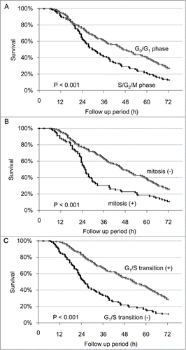 Figure 5. Survival analysis of individual cells after irradiation with 200 J/m2 UVB. (A) Kaplan-Meier survival curve for G0/G1 and S/G2/M cells at the onset of UVB irradiation. (B) Kaplan-Meier survival curve for cells which entered mitosis within 24 h after irradiation with UVB compared to non-mitotic cells. (C) Kaplan-Meier survival curve for the cells which transitioned from G1 to S phase within 24 h after irradiation with UVB, compared to cells without G1/S transition.