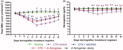 Figure 1. Effect of treatments on blood parameters in mice at various timepoints during the treatment/post-treatment period. (A) Total white blood cell [WBC] count. (B) Hemoglobin [Hb] content. Mice were given a total of 10 daily doses of CTX; every 3 days - starting prior to the first treatment (Day 0) and during/after the treatment (up to 20 days after final treatment) - blood was collected from the tail vein. From this material, total WBC counts and Hb levels were measured. Values shown are mean ± SD. ap < 0.01, bp < 0.05 for CTX only vs CTX/extract- or CTX/MESNA-co-treated. cp < 0.01, dp < 0.05 for normal versus A. ferruginea extract alone.