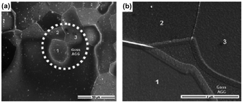 Figure 32. (a) SEM image of a peninsular grain ‘1’ near the front of abnormal Goss grain growth and (b) magnified image of area in white-dotted circle, showing wetting of the Goss abnormal grain growth along triple junction of grains ‘1’, ‘2’ and ‘3’ [Citation83].