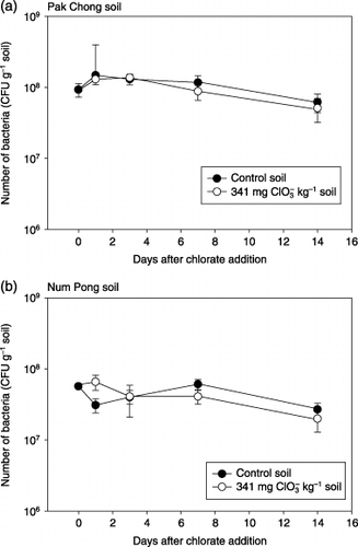 Figure 2  Effect of the addition of chlorate on the number of culturable bacteria in soil. (a) Pak Chong soil, (b) Num Pong Soil. Chlorate was added to the soil at a concentration of 0 or 341 mg kg−1 soil. Bars indicated standard deviation.