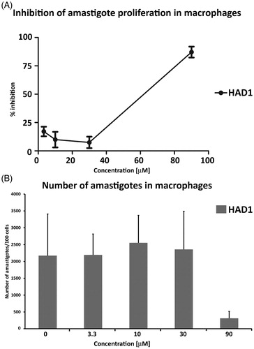 Figure 6. HAD1 compound effect on T. cruzi infection in macrophages. (A) Treatment of infected macrophages with HAD1 resulted in a dose-dependent inhibition of amastigote proliferation, achieving an IC50 value of 75 µM. (B) A significant decrease in the total number of intracellular amastigotes was detected with 90 μM of HAD1. *Statistically significant, p ≤ 0.05.