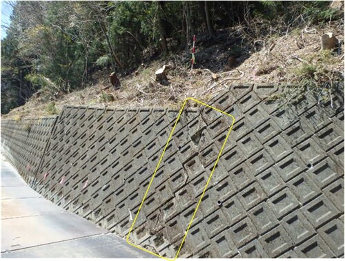 Figure 11. Cracks found in the retaining wall before construction.