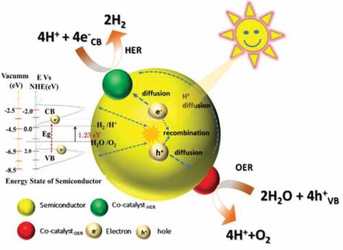 Figure 17. Schematic representation of photocatalytic water splitting reaction, illustrated the fundamental process like charge carrier generation and separation, charge diffusion, recombination, hydrogen evolving reaction, proton (H+) transport and oxygen-evolving reaction.