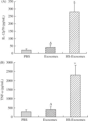 Figure 4. Cytokine secretion. IL-12p70 (A) and TNF-α (B) levels ± standard deviation (SD) are shown for supernatants of immature DCs pulsed with HS-exosomes or untreated exosomes detected by ELISA. ΔP > 0.05, for the exosome samples versus the PBS samples; ☆P < 0.01, for HS-exosomes versus untreated exosomes or PBS treatment group. Results are presented as the mean levels ± standard deviation (SD) of 18 patient samples.