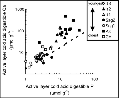 Figure 6 Cold acid digestible fraction Ca (µmol g−1) vs. cold acid digestible fraction P (µmol g−1) in active-layer mineral soil samples from different glacial surfaces. The dashed line represents the Ca/P of apatite (1.67). Analytical errors are reported in the text.