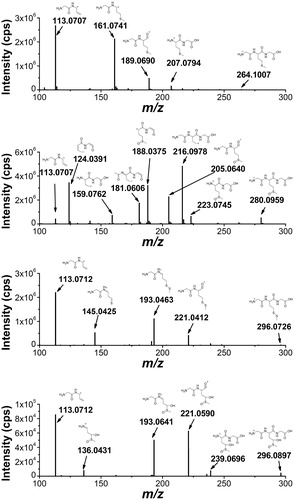 Figure 9. High-resolution MS/MS spectra of starting material 7 (m/z 264.1007) and of the products with higher molecular weight 15 (m/z 280.0959), 17 (m/z 296.0733), and 18 (m/z 296.0897) with proposed structures of the fragment ions.