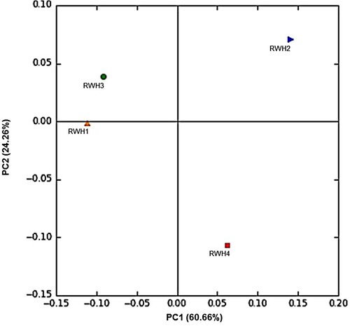 Figure 5. Principal coordinates analysis (PCoA) plot showing clustering of the four microbiomes obtained in this study between the four microbiomes. The plot was performed based on weighted UniFrac distances.