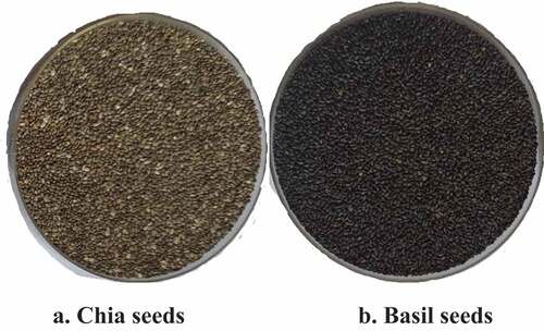 Figure 1. Pictures depicting a. chia seed having flat surface, oval shape and white to brownish colour and ellipsoidal black coloured b. basil seeds.