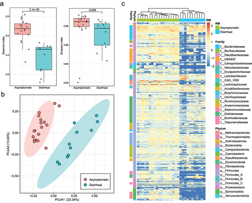 Figure 4. The abundance comparison of MAGs in fecal metagenomes of chronic diarrhea RMs and asymptomatic RMs. (a) the alpha-diversity (Simpson index and Shannon index) of 731 MAGs in guts of asymptomatic and chronic diarrhea RMs. (b) PCoA plot based on Bray-Curtis distance of abundance of 731 MAGs in guts of asymptomatic RMs and chronic diarrhea RMs. (c) heatmap of the abundance of 731 MAGs in fecal metagenomes of asymptomatic RMs and chronic diarrhea RMs.