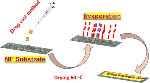 Scheme 1. Schematic illustration of electrode preparation.