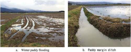 Figure 7. Examples of habitat creation farming methods.