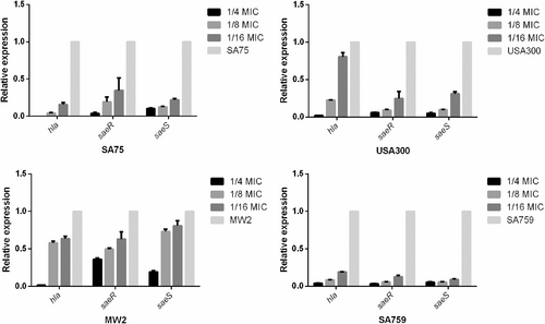 Fig. 3 Relative expression of hla and saeR/S in S.aureus strains after cultured with various concentrations of resveratrol.Values are means + SDs (based on three repeated assays). There were significant differences with the control group (grown without resveratrol) for each strain (P < 0.05)