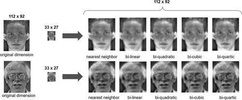 Figure 2. Some well-known conventional interpolation methods. First image is the original, the rest are the interpolated ones.