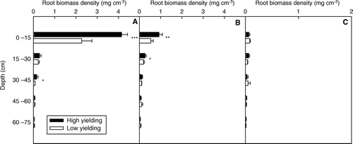 Fig. 5  Root biomass density in high- and low-yielding soybean pools along soil profiles, for each of following positions: on plant (A); at halfway between plants (B); at halfway between rows (C). Note: *, ** and *** indicate depths at which root biomass densities of the two yielding pools were significantly different at P < 0.05, P < 0.01 and P < 0.001, respectively; bars represent standard error of the mean (n = 4)