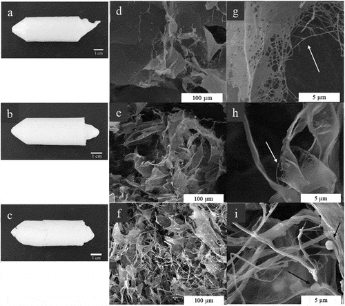 Figure 3. Picture of aerogels from HS medium (BC) (a), bacterial cellulose from cashew juice permeated (BCP) (b), and eucalyptus nanocellulose (EC) (c). Micrography of aerogels: BC (d,g), BCP (e,h), and EC (f,i).