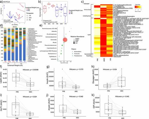 Figure 2. Microbiome, serum metabolite, and GI hormone changes with bariatric surgery. (A) Principal coordinate analysis plot (i.e., beta diversity). Each dot represents a patient sample and it is colored by sustained weight loss with shapes indicating what time point the sample was collected. Lines connect an individual patient sample over time. (B) Alpha diversity as measured by Shannon Index. (C) Heatmap showing all the differentially abundant serum metabolites grouped by super pathways. (D) Taxonomic summary plots of genera with at least a relative abundance of ≥1%. (E) Differential abundance testing by MaAsLin showing bacteria genera that are different at 6 months as compared to baseline for patients adjusting for sustained weight loss (SWL) with patient ID as a random effect. (F-K) For the GI hormones, patients were given a standard meal and blood at fasting, 30 minutes, 60 minutes, and 90 minutes were sampled for various GI hormones. Circulating GI hormone was then measured across time and the area under the curve (AUC) for each hormone at baseline and at 6-months post-sleeve gastrectomy is shown for (F) leptin, (G) insulin, (H) glucagon, (I) glucagon-like peptide 1 (GLP1), (J) amylin, and (K) glucose-dependent insulinotropic polypeptide (GIP). N = 18.