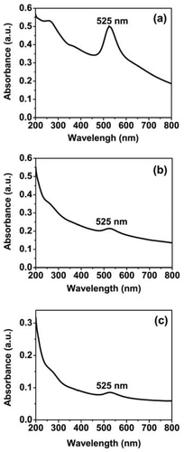 Figure 2. Optical absorption spectra of gold nanowire networks prepared in pure water by laser ablation at (a) 1064 nm, (b) 532 nm, and (c) 355 nm.