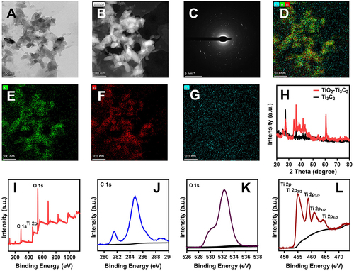 Figure 1 Structure characterization of Ti3C2 and TiO2-Ti3C2. (A) TEM images of TiO2-Ti3C2. (B) High-resolution TEM images of TiO2-Ti3C2. (C) SAED images of TiO2-Ti3C2. (D–G) HAADF-STEM-EDS elemental mappings of Ti, C, O component of TiO2-Ti3C2. (H) XRD pattern of Ti3C2 and TiO2-Ti3C2. (I) Full XPS spectra of TiO2-Ti3C2. XPS spectra of (J) C 1s regions, (K) O 1s regions, and (L) Ti 2p regions.